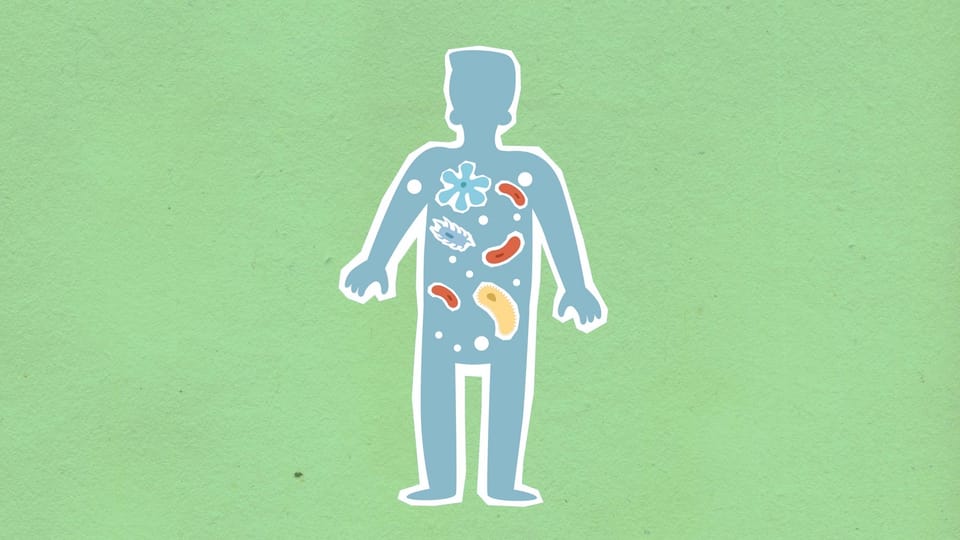 Supported Adrenals with Rebounding: Boost Energy & Burn Fat